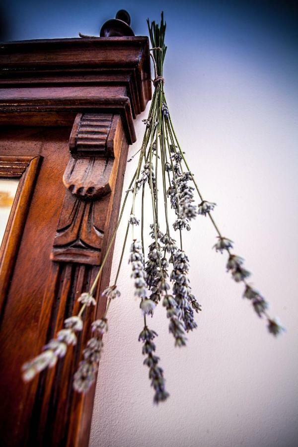 Villa Arboretum ミルナ エクステリア 写真